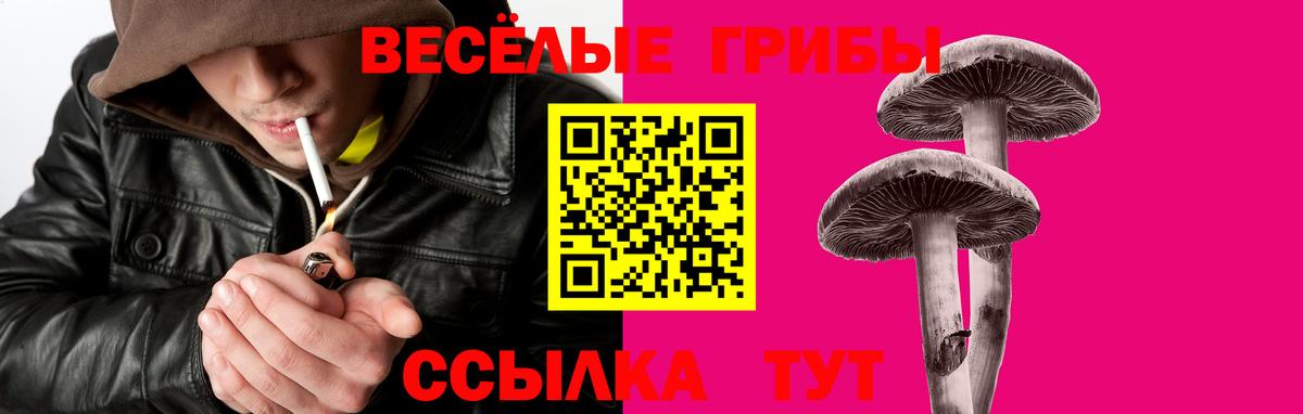 Вичуга  Псилоцибиновые грибы Magic Shrooms  Вход с VPN 